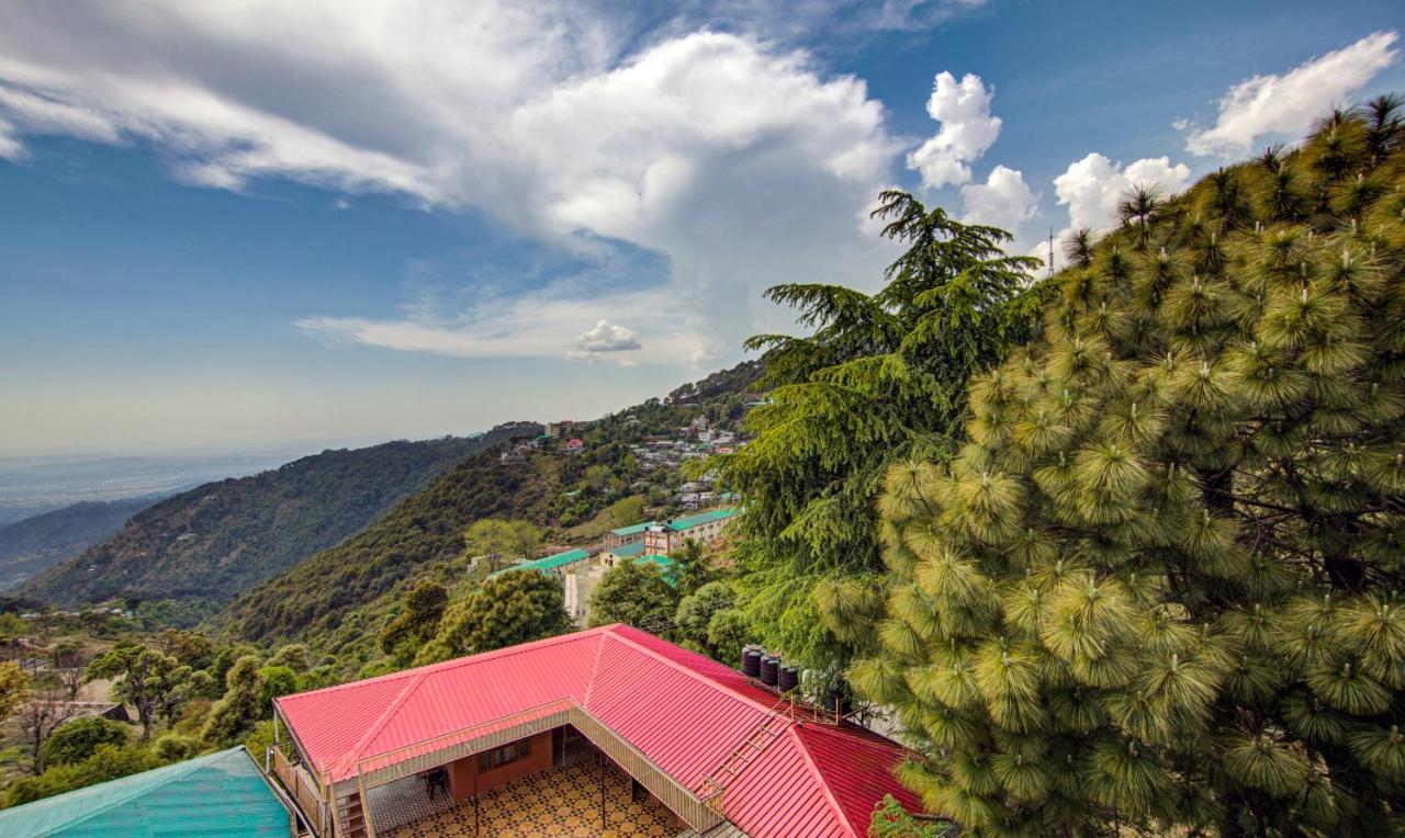 Treebo Roshan House With Valley View McLeod Ganj Exteriér fotografie